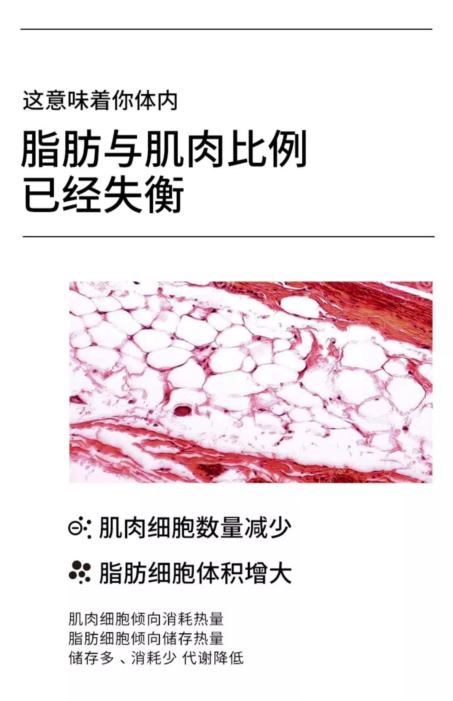 SRW Msc塑型粉