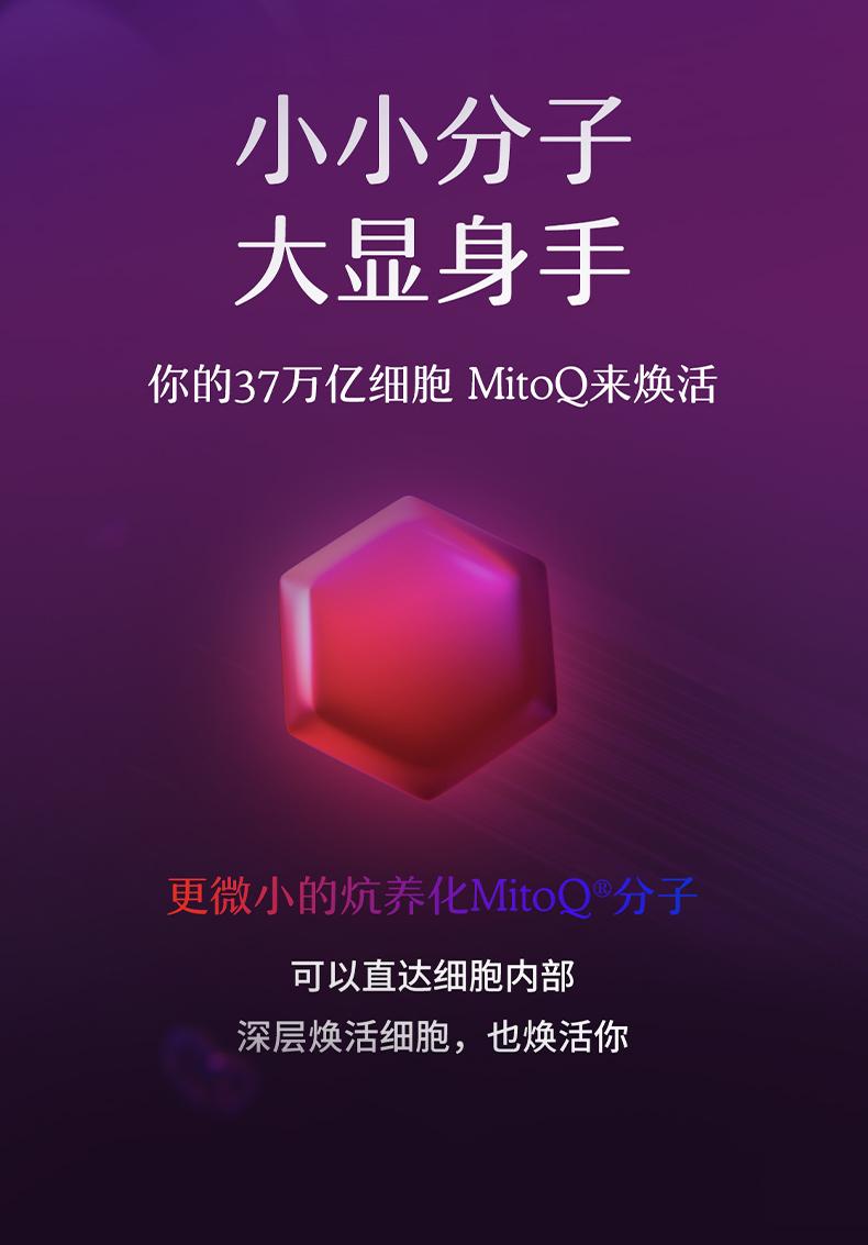 MitoQ进口护肝奶蓟水飞蓟胆碱q10熬夜加班喝酒60粒进口保健品