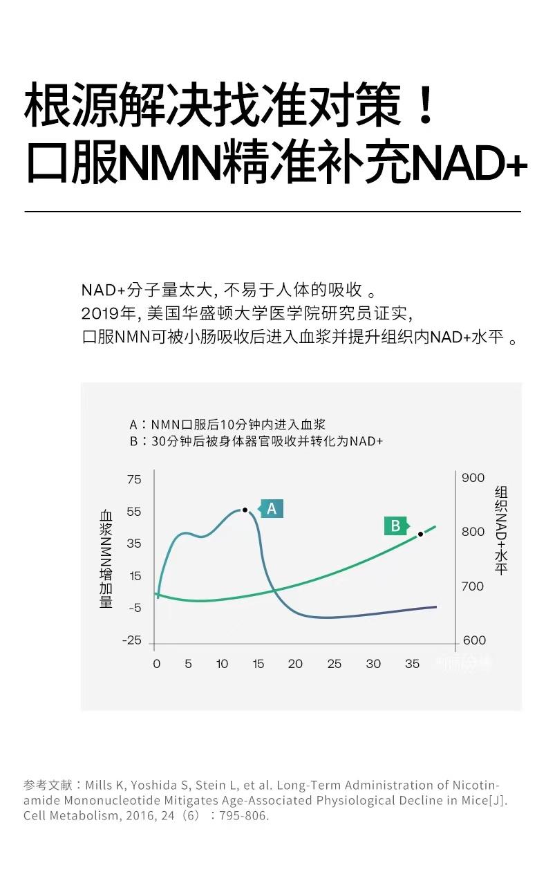 SRW Cel2新西兰细胞能量胶囊MNM核苷酸NAD提升细胞能量