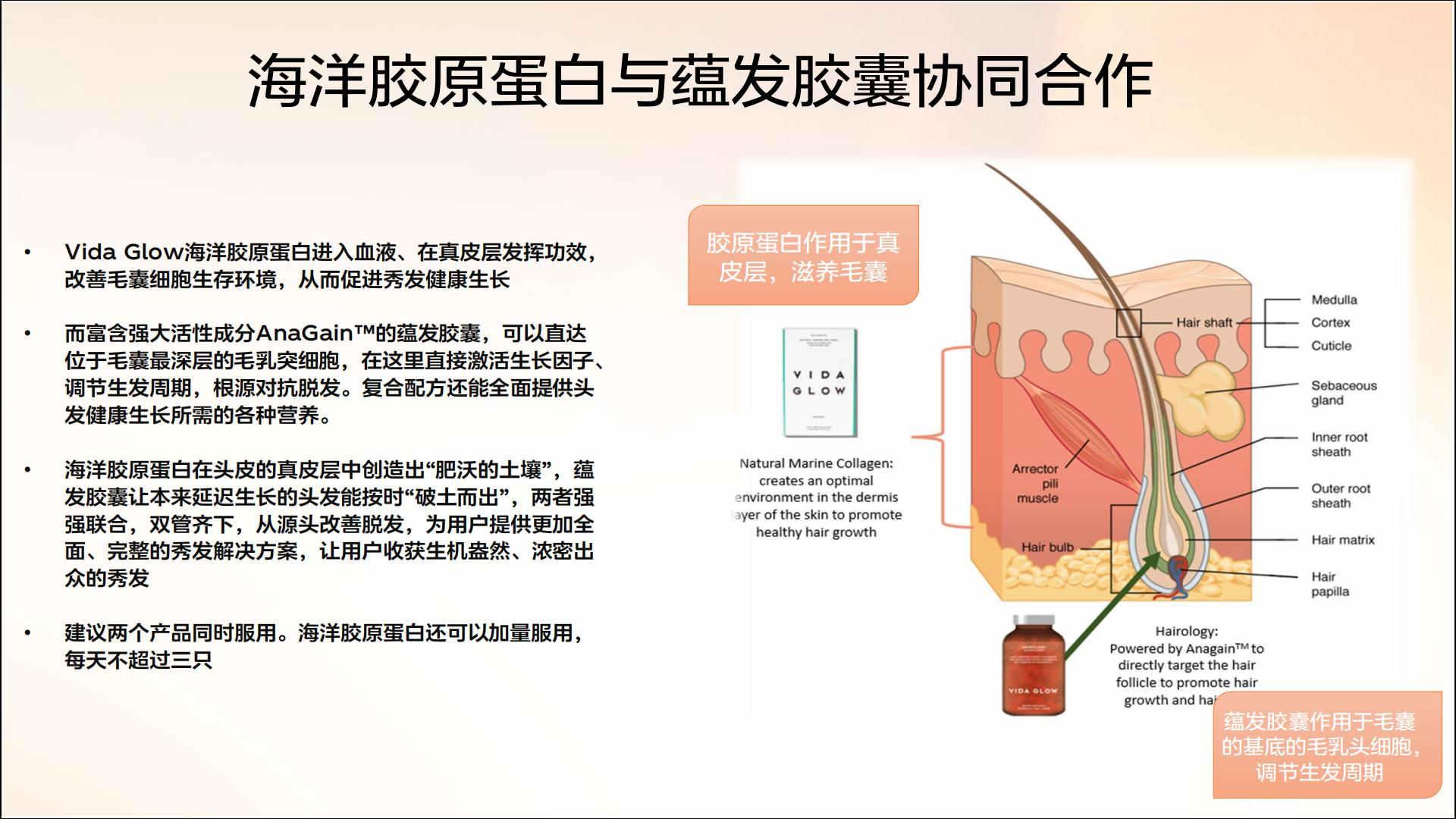 【产品大百科】Vida Glow蕴发胶囊