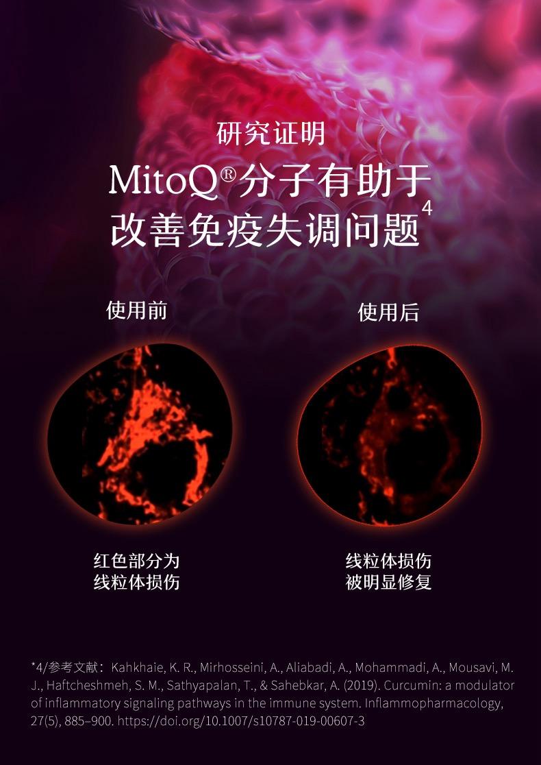 MitoQ 姜黄素