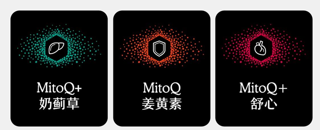 MitoQ 姜黄素