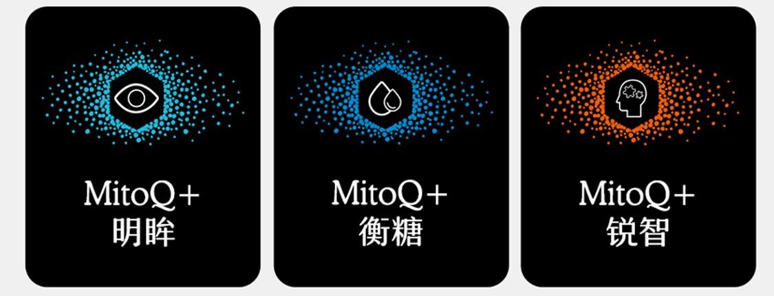 MitoQ 姜黄素