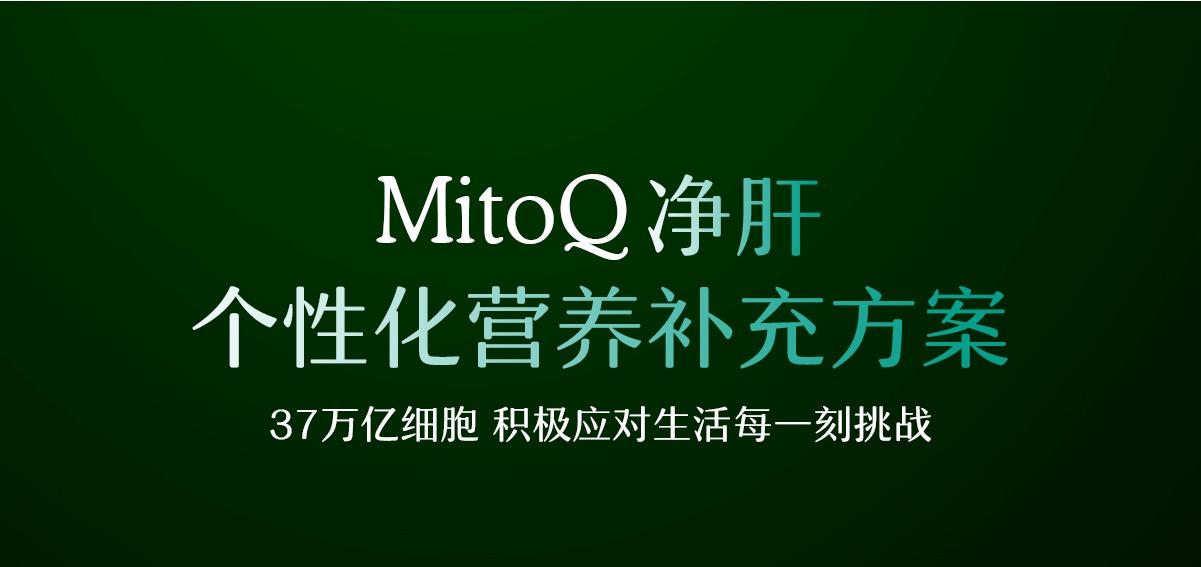 MitoQ 净肝胶囊