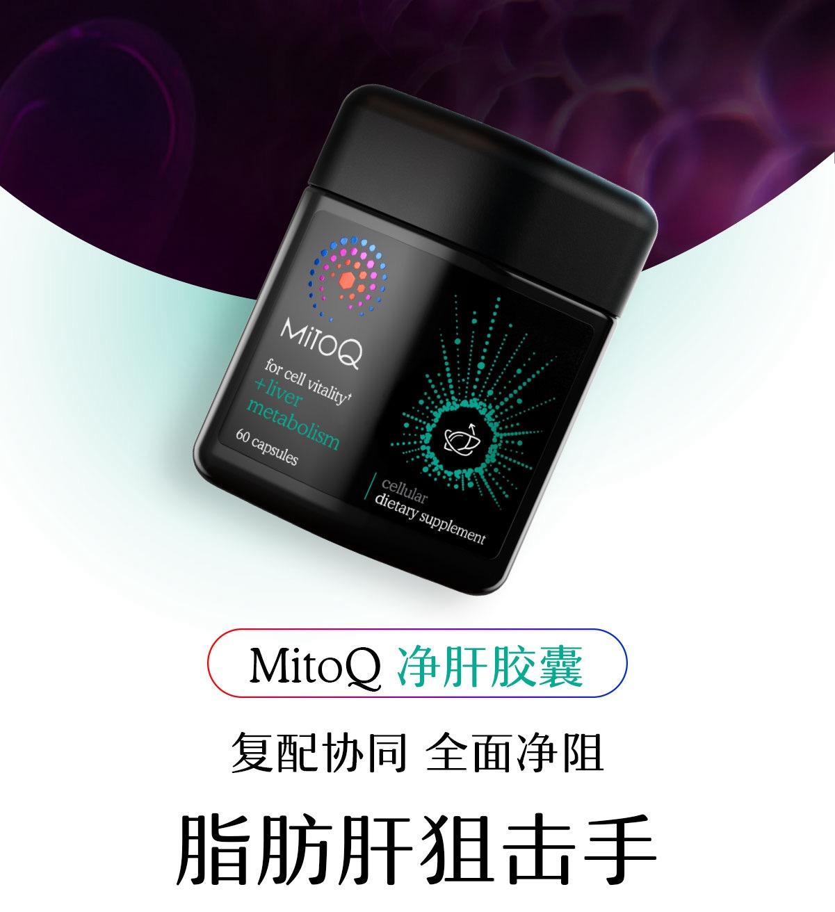 MitoQ 净肝胶囊