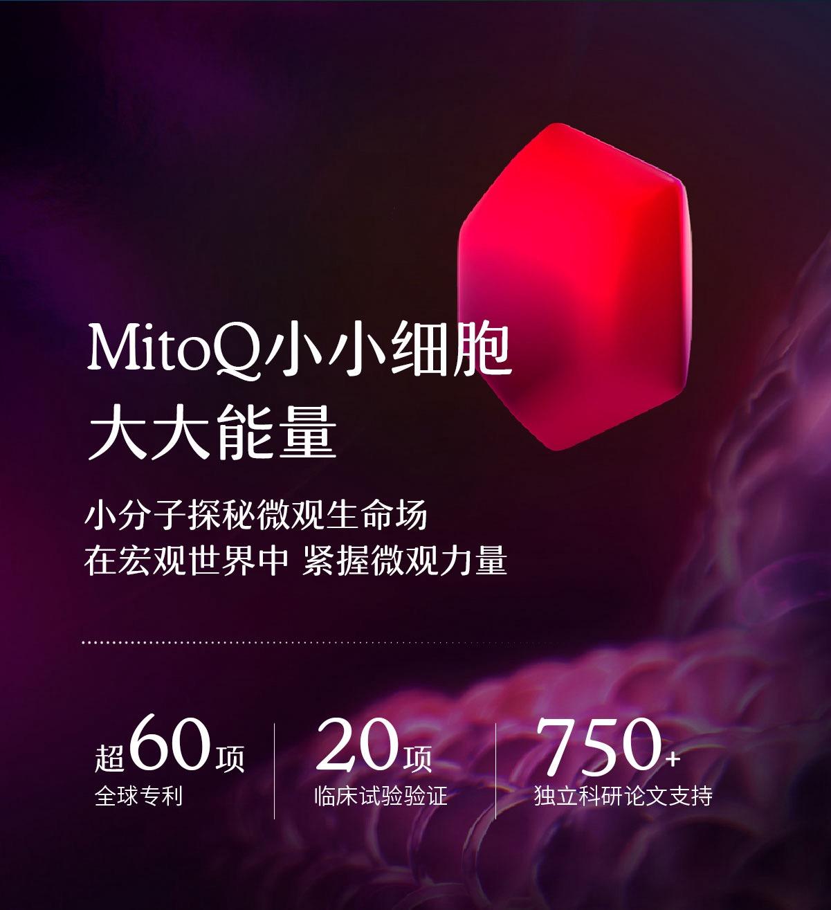 MitoQ 净肝胶囊